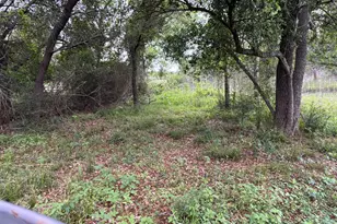 00 Fm 1489, Brookshire, TX 77423 - Photo 1