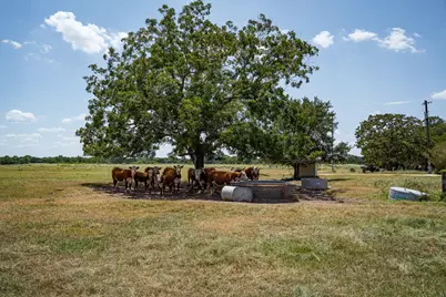 2210 Hermis Road, Schulenburg, TX 78956 - Photo 21