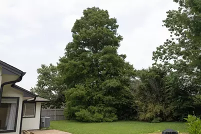 1204 Osborne Drive, Friendswood, TX 77546 - Photo 19