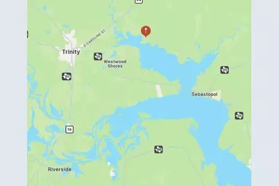 0 S Skains Chapel Road, Trinity, TX 75862 - Photo 13