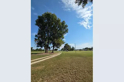 0 S Skains Chapel Road, Trinity, TX 75862 - Photo 5