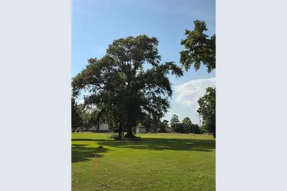 0 S Skains Chapel Road, Trinity, TX 75862 - Photo 7