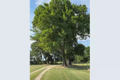 0 S Skains Chapel Road, Trinity, TX 75862 - Photo 1