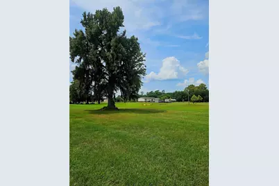 0 S Skains Chapel Road, Trinity, TX 75862 - Photo 11