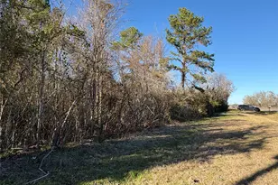 0 US-190, Point Blank, TX 77364 - Photo 1