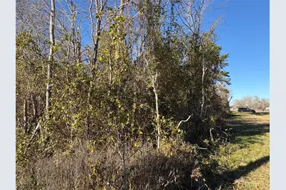 0 Us-190, Point Blank, TX 77364 - Photo 7