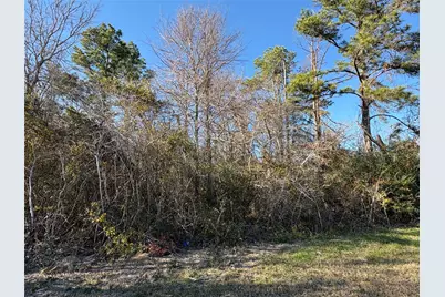 0 Us-190, Point Blank, TX 77364 - Photo 9