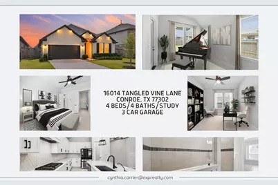 16014 Tangled Vine Lane, Conroe, TX 77302 - Photo 1