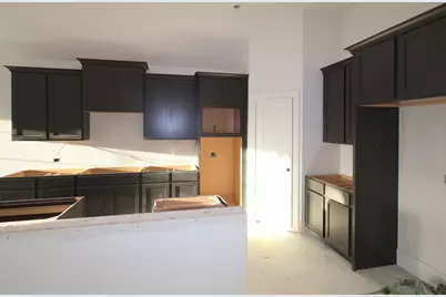 21711 Hibiscus Hedge Trail, Tomball, TX 77447 - Photo 3