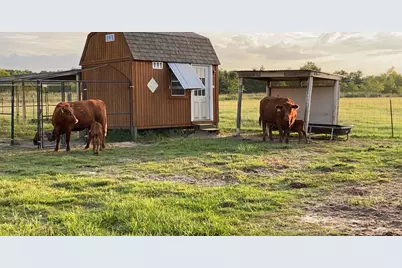 734 County Road 3011, Dayton, TX 77535 - Photo 13