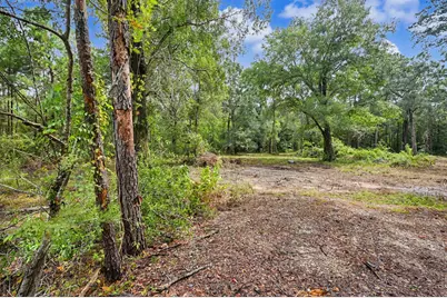 480 County Road 3188, Cleveland, TX 77327 - Photo 13