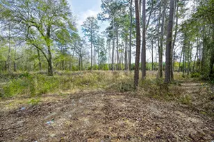 480 County Rd 3188, Cleveland, TX 77327 - Photo 1