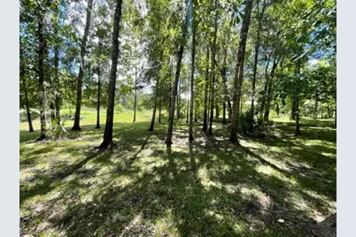 201 Cypress Lakes Circle Circle, Cleveland, TX 77327 - Photo 9