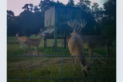 4727 County Road 19, Hallettsville, TX 77442 - Photo 9
