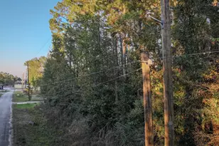 Tbd Holly Dr, New Caney, TX 77357 - Photo 9