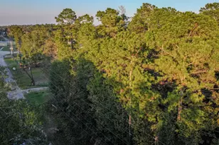 Tbd Holly Dr, New Caney, TX 77357 - Photo 15
