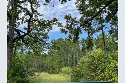 34 Highway 94 Road, Groveton, TX 75845 - Photo 5