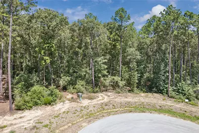 25316 High Meadow Drive W, Montgomery, TX 77316 - Photo 3