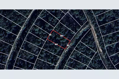 Lot 4 Big Brave Circle, Waller, TX 77445 - Photo 3