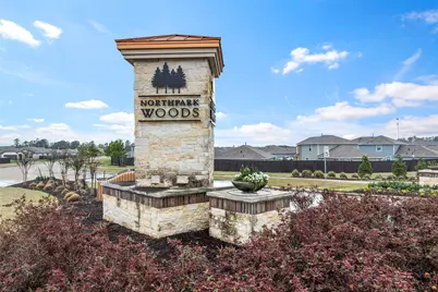 25953 Northpark Birch Drive, Porter, TX 77365 - Photo 37