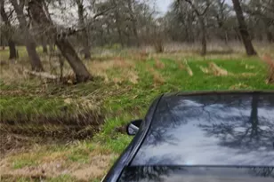 15530 Tierra Grande Dr, Needville, TX 77461 - Photo 1