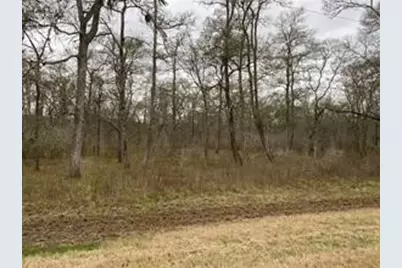 15530 Tierra Grande Drive, Needville, TX 77461 - Photo 3