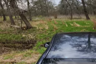 15530 Tierra Grande Dr, Needville, TX 77461 - Photo 1