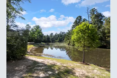 119 W Cresta Bend Place, Spring, TX 77389 - Photo 31