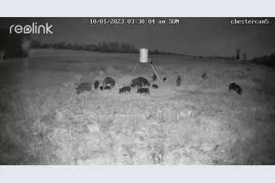 0 Korthauer Road, Bellville, TX 77418 - Photo 11