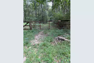 000 Bergman Drive, Magnolia, TX 77355 - Photo 5