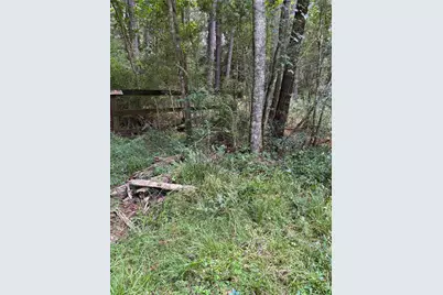 000 Bergman Drive, Magnolia, TX 77355 - Photo 3