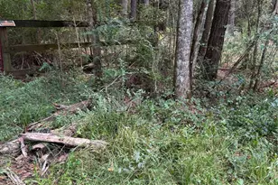 000 Bergman Dr, Magnolia, TX 77355 - Photo 3