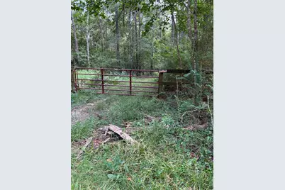 000 Bergman Drive, Magnolia, TX 77355 - Photo 1