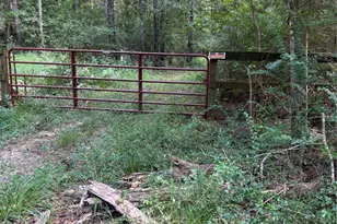 000 Bergman Dr, Magnolia, TX 77355 - Photo 1