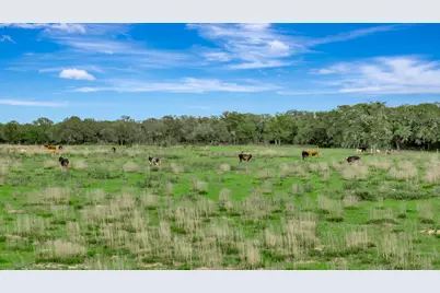 16297B State Highway 111 E, Yoakum, TX 77995 - Photo 15