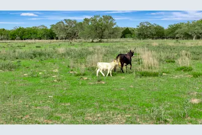 16297B State Highway 111 E, Yoakum, TX 77995 - Photo 17