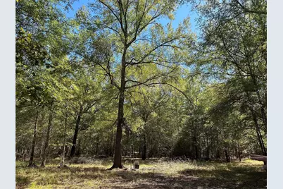 Tbd Somerset Trail Road, Point Blank, TX 77364 - Photo 13