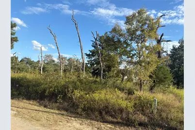 38417 Park View Drive, Hempstead, TX 77445 - Photo 11