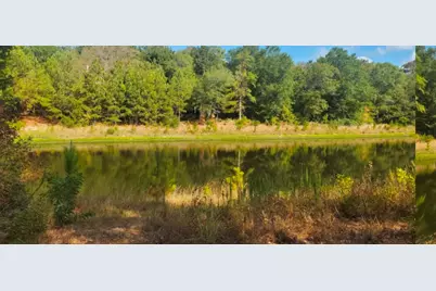 38417 Park View Drive, Hempstead, TX 77445 - Photo 19