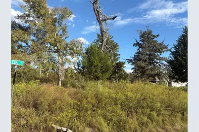 38417 Park View Drive, Hempstead, TX 77445 - Photo 9