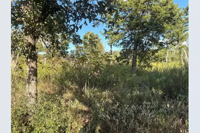 38417 Park View Drive, Hempstead, TX 77445 - Photo 3