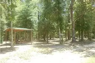 27732 Colapis Dr, Splendora, TX 77372 - Photo 3