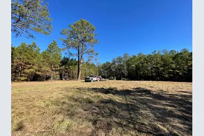 Lot 2 E Fm 942, Livingston, TX 77351 - Photo 11