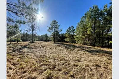 Lot 2 E Fm 942, Livingston, TX 77351 - Photo 15