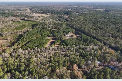 Lot 2 E Fm 942, Livingston, TX 77351 - Photo 27