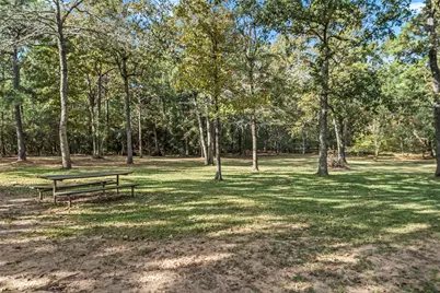 9322 Sendera Drive, Magnolia, TX 77354 - Photo 39