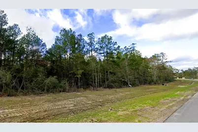 15415 Red Hawk Road, Willis, TX 77378 - Photo 5