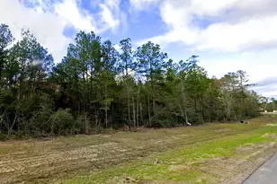 15415 Red Hawk Rd, Willis, TX 77378 - Photo 5