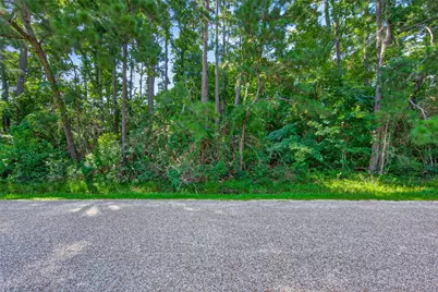 Tbd N Plantation Estates, Porter, TX 77365 - Photo 15