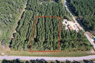 15336 Red Hawk Rd, Willis, TX 77378 - Photo 3